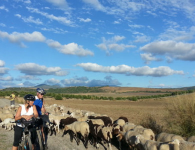 Radfahren von Granada nach Ronda (Route der Almoraviden und Almohaden)