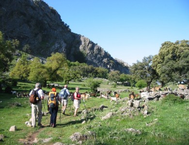 Wanderungen rund um Ronda durch den Naturpark Grazalema